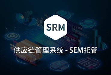 供應鏈管理系統SEM托管