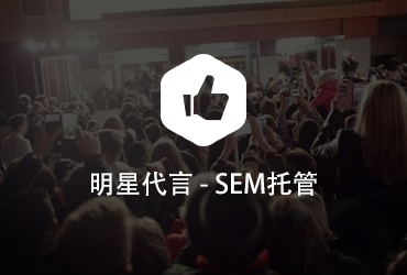 明星代言SEM競(jìng)價(jià)托管案例